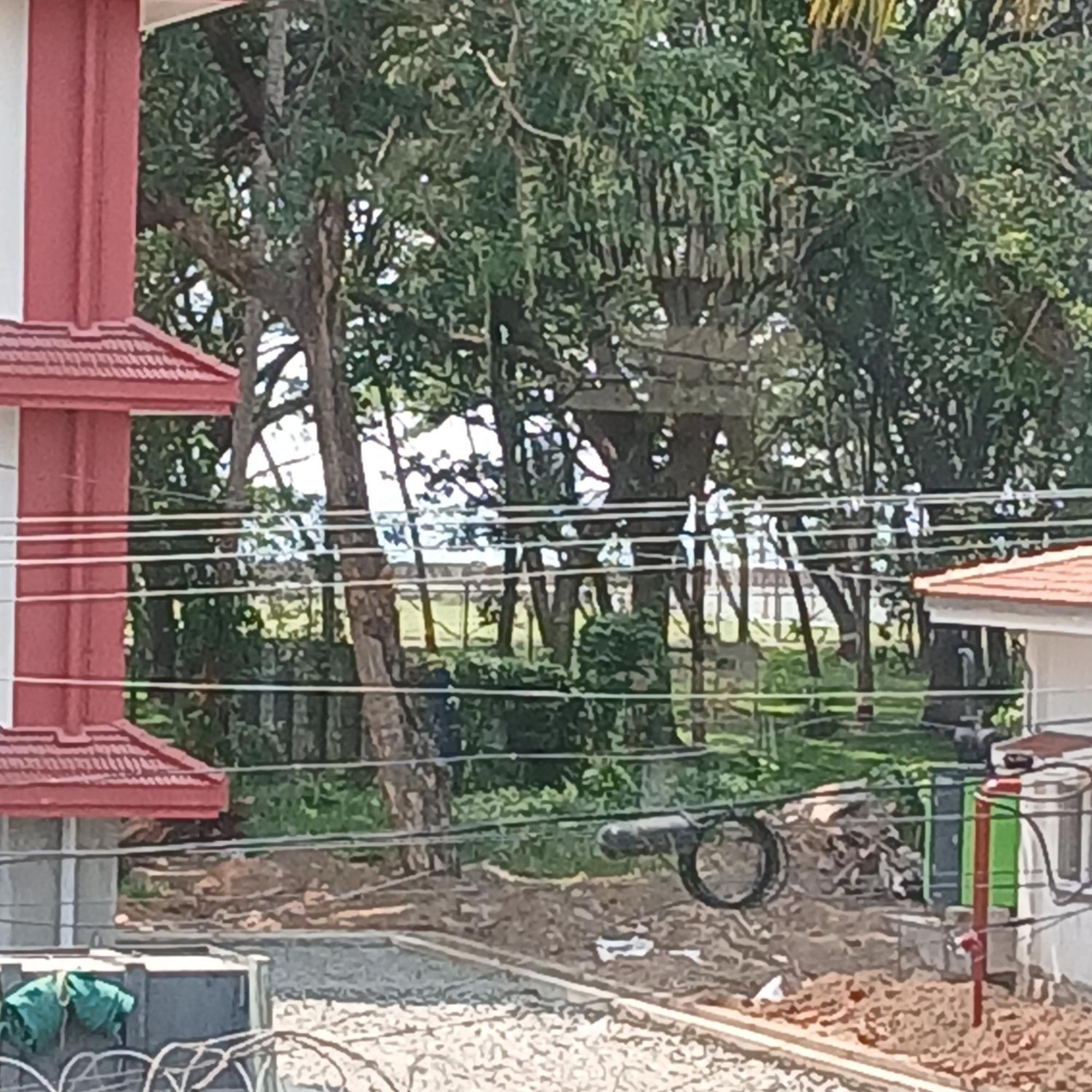 Annies Inn Homestay Kochi ภายนอก รูปภาพ